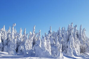 00-20200217_160256-1