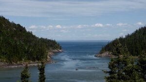 18689500953_842444b002_b